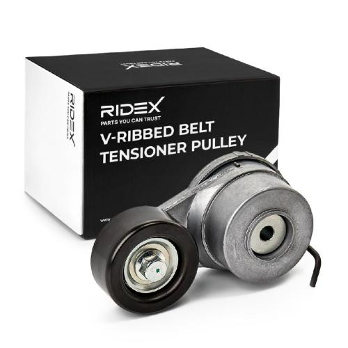 RIDEX 310T0320 Spannrolle Keilrippenriemen für HYUNDAI Tucson (TL, TLE) Bild RIDEX 310T0320 Spannrolle Keilrippenriemen für HYUNDAI Tucson (TL, TLE)
