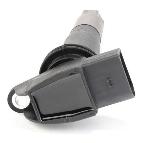 RIDEX 689C0224 Zündspule für PORSCHE Cayenne (9PA) 98060290401 98060290404 Bild RIDEX 689C0224 Zündspule für PORSCHE Cayenne (9PA) 98060290401 98060290404