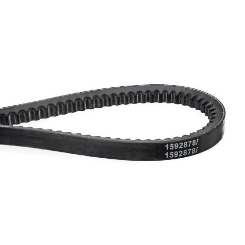 RIDEX 10C0018 Keilriemen 790mm für VW Golf 1II (1H1) SHARAN (7M8, 7M9, 7M6) Bild RIDEX 10C0018 Keilriemen 790mm für VW Golf 1II (1H1) SHARAN (7M8, 7M9, 7M6)