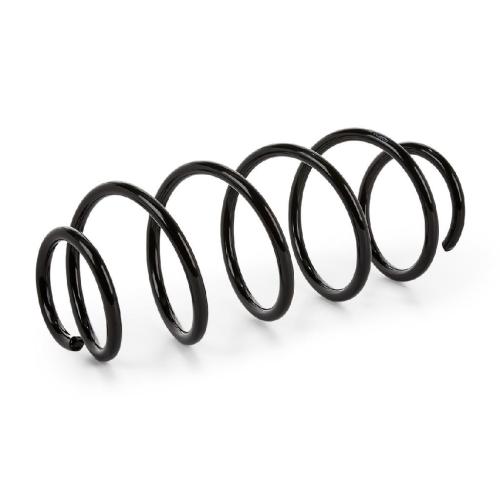 RIDEX 188C0585 2x Federn Fahrwerksfedern Vorne für SUZUKI SX4 (EY, GY) Bild RIDEX 188C0585 2x Federn Fahrwerksfedern Vorne für SUZUKI SX4 (EY, GY)
