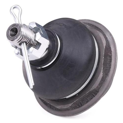 RIDEX 2462S0557 Traggelenk Führungsgelenk Vorne für HYUNDAI i30 (FD) für KIA Bild RIDEX 2462S0557 Traggelenk Führungsgelenk Vorne für HYUNDAI i30 (FD) für KIA