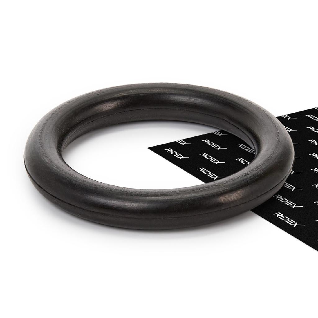 RIDEX 42G0081 Ansaugkrümmer-Dichtung für FORD Fiesta Mk6 Schrägheck (JA8, JR8)
