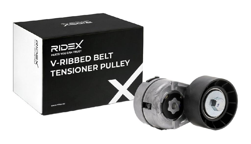 RIDEX 310T0035 Spannrolle Keilrippenriemen für FIAT GRANDE PUNTO (199) 46406204