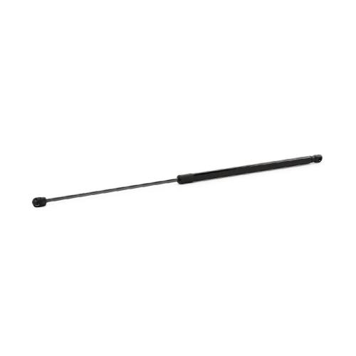 RIDEX Motorhaubendämpfer Vorne für VW PASSAT Variant (3B6) Bild RIDEX Motorhaubendämpfer Vorne für VW PASSAT Variant (3B6)
