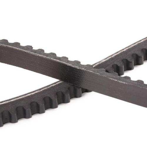 RIDEX PLUS 10C0062P Keilriemen 838mm für VW Transporter T1II Bus für AUDI Bild RIDEX PLUS 10C0062P Keilriemen 838mm für VW Transporter T1II Bus für AUDI