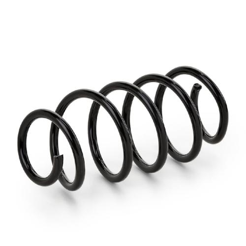 RIDEX 188C0230 2x Federn Fahrwerksfedern Vorne für VW Golf 5 Schrägheck Bild RIDEX 188C0230 2x Federn Fahrwerksfedern Vorne für VW Golf 5 Schrägheck