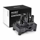 RIDEX 689C0022 Zündspule für FORD Fiesta Mk6 Schrägheck (JA8, JR8) BE8Z12029Z