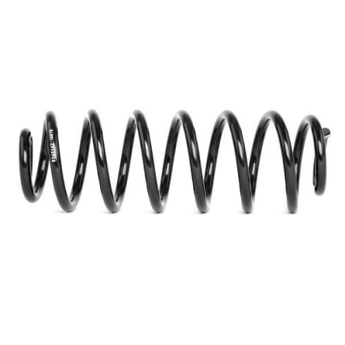 RIDEX 188C0353 2x Federn Fahrwerksfedern Hinten für VW TOURAN (1T1, 1T2) Bild RIDEX 188C0353 2x Federn Fahrwerksfedern Hinten für VW TOURAN (1T1, 1T2)