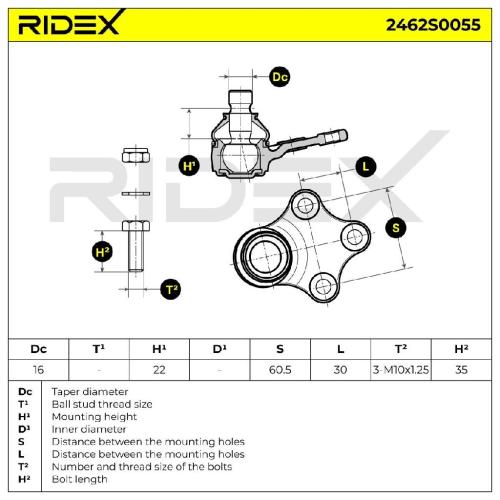 RIDEX 2462S0055 Traggelenk Führungsgelenk Vorne für CITROËN passend für PEUGEOT Bild RIDEX 2462S0055 Traggelenk Führungsgelenk Vorne für CITROËN passend für PEUGEOT