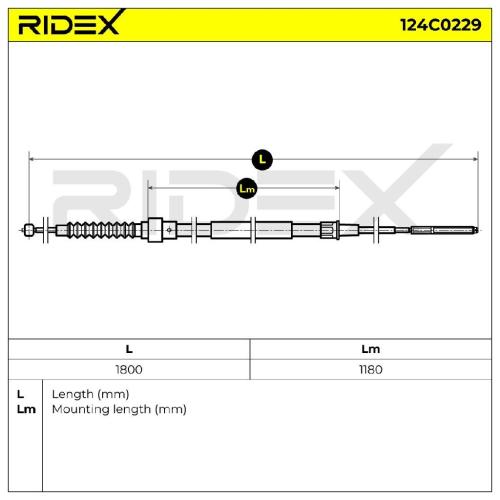 RIDEX Handbremsseil Hinten Links Rechts für VW Golf 1I (19E, 1G1) Bild RIDEX Handbremsseil Hinten Links Rechts für VW Golf 1I (19E, 1G1)