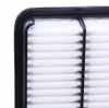 RIDEX 8A0175 Motor Luftfilter Filtereinsatz für MITSUBISHI PAJERO III (V7W, V6W) Bild RIDEX 8A0175 Motor Luftfilter Filtereinsatz für MITSUBISHI PAJERO III (V7W, V6W)