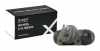 RIDEX 277W0011 1x Radbremszylinder Trommelbremse Radzylinder Hinten beidseitig Bild RIDEX 277W0011 1x Radbremszylinder Trommelbremse Radzylinder Hinten beidseitig