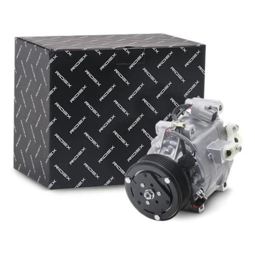 RIDEX A/C Kompressor für Klimaanlage Klimakompressor mit ID: SCSA06C PAG 46 mit Bild RIDEX A/C Kompressor für Klimaanlage Klimakompressor mit ID: SCSA06C PAG 46 mit