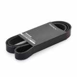 RIDEX 305P0431 Keilrippenriemen für NISSAN Qashqai II (J11, J11) QMK667789