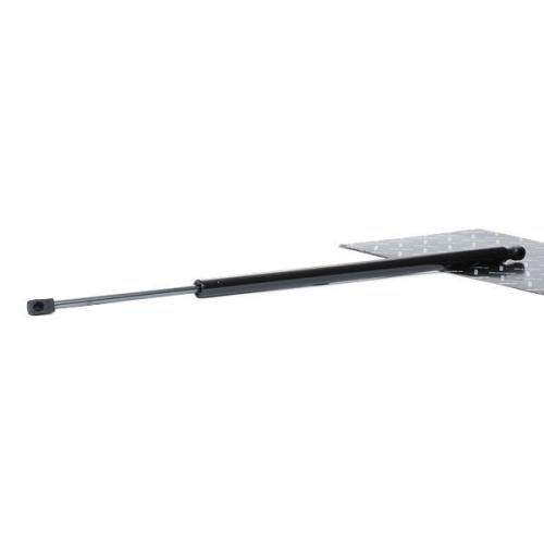 RIDEX 219G0953 Heckklappendämpfer beidseitig Länge:711mm 1200N Hub: 196mm für VW Bild RIDEX 219G0953 Heckklappendämpfer beidseitig Länge:711mm 1200N Hub: 196mm für VW