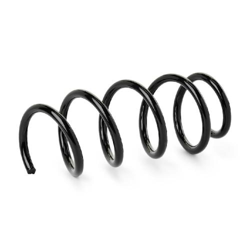 RIDEX 188C1813 2x Federn Fahrwerksfedern Vorne für RENAULT 93456882 Bild RIDEX 188C1813 2x Federn Fahrwerksfedern Vorne für RENAULT 93456882