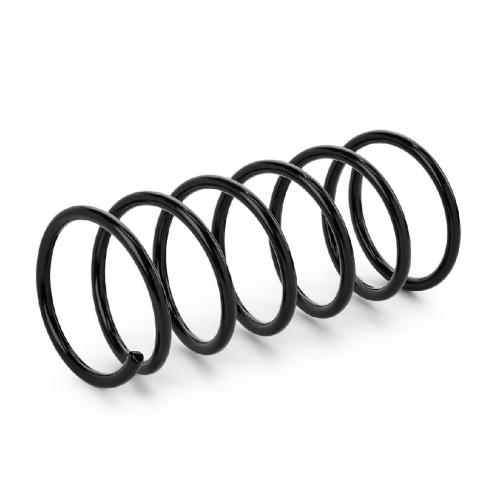 RIDEX 188C0525 2x Federn Fahrwerksfedern Vorne für CITROËN 5002QJ 500271 Bild RIDEX 188C0525 2x Federn Fahrwerksfedern Vorne für CITROËN 5002QJ 500271