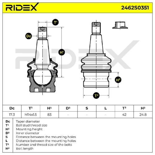 RIDEX 2462S0351 Traggelenk Führungsgelenk Vorne unten für AUDI A4 Avant A6 Avant Bild RIDEX 2462S0351 Traggelenk Führungsgelenk Vorne unten für AUDI A4 Avant A6 Avant
