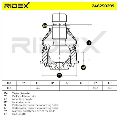 RIDEX 2462S0299 Traggelenk Führungsgelenk Vorne für SUZUKI SWIFT III (MZ, EZ) Bild RIDEX 2462S0299 Traggelenk Führungsgelenk Vorne für SUZUKI SWIFT III (MZ, EZ)
