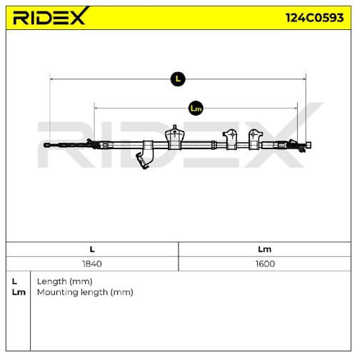 RIDEX Handbremsseil Hinten Rechts für TOYOTA RAV 4 III Bild RIDEX Handbremsseil Hinten Rechts für TOYOTA RAV 4 III