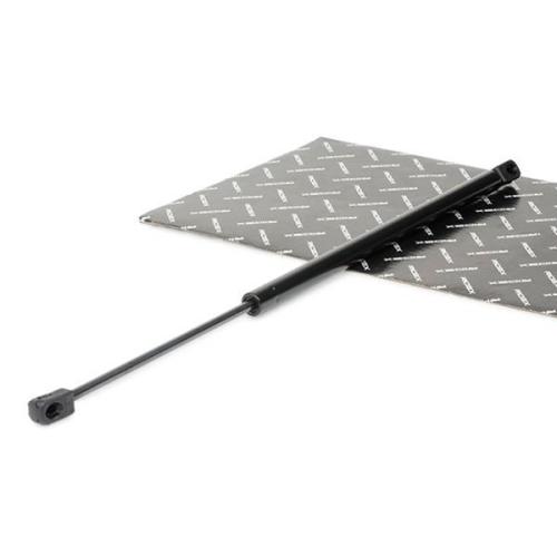 RIDEX 219G0362 Heckklappendämpfer beidseitig Länge:580mm 560N Hub: 200mm Bild RIDEX 219G0362 Heckklappendämpfer beidseitig Länge:580mm 560N Hub: 200mm