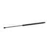 RIDEX Motorhaubendämpfer passend für PEUGEOT 406 (8B) Bild RIDEX Motorhaubendämpfer passend für PEUGEOT 406 (8B)