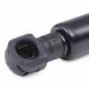 RIDEX Motorhaubendämpfer Vorne für FIAT MULTIPLA (186) Bild RIDEX Motorhaubendämpfer Vorne für FIAT MULTIPLA (186)