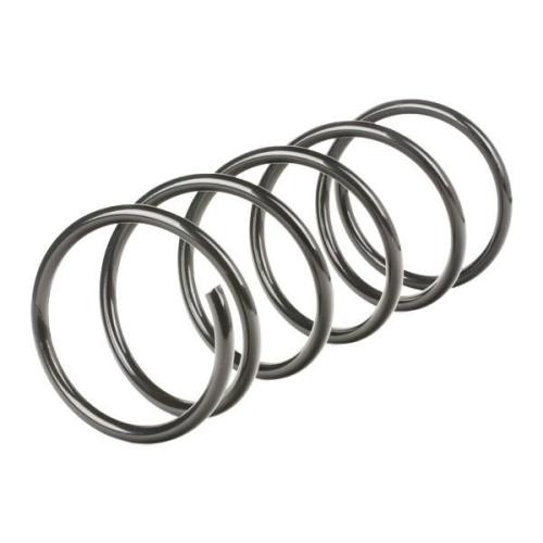 RIDEX 188C0101 2x Federn Fahrwerksfedern Vorne für FORD FOCUS (DAW, DBW) Bild RIDEX 188C0101 2x Federn Fahrwerksfedern Vorne für FORD FOCUS (DAW, DBW)