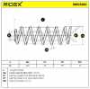 RIDEX 188C1282 2x Federn Fahrwerksfedern Hinten für RENAULT 550200011R Bild RIDEX 188C1282 2x Federn Fahrwerksfedern Hinten für RENAULT 550200011R