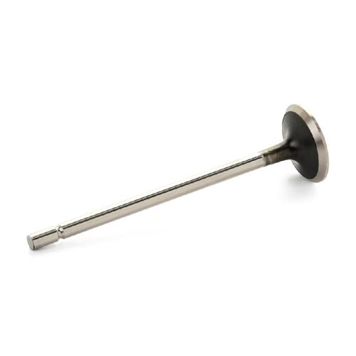 RIDEX Auslassventil für RENAULT Clio 1II Schrägheck (BR0/1, CR0/1) Bild RIDEX Auslassventil für RENAULT Clio 1II Schrägheck (BR0/1, CR0/1)