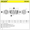 RIDEX 188C1855 2x Federn Fahrwerksfedern Hinten für OPEL 4412358 91166278 Bild RIDEX 188C1855 2x Federn Fahrwerksfedern Hinten für OPEL 4412358 91166278