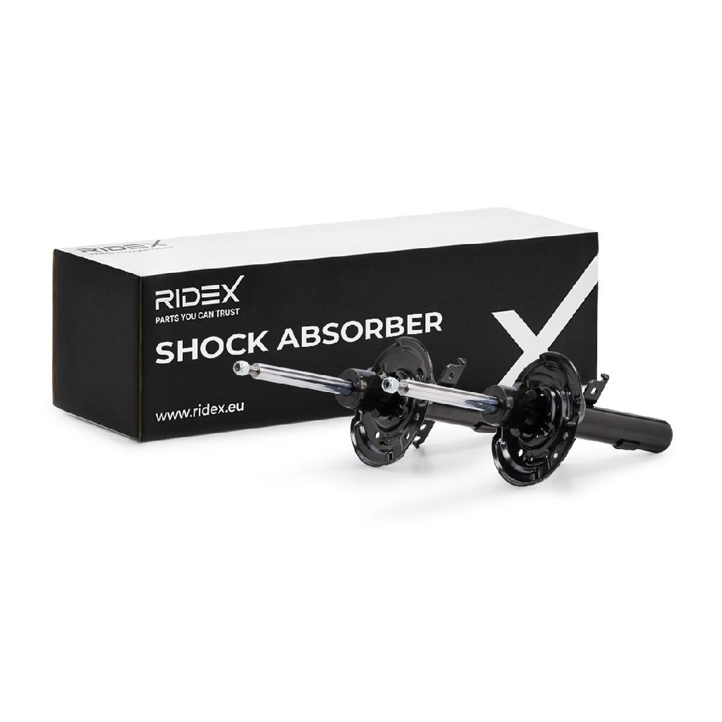 RIDEX 854S19320 2x Stoßdämpfer Federbein Gasdruck Vorne für RENAULT 543024568R