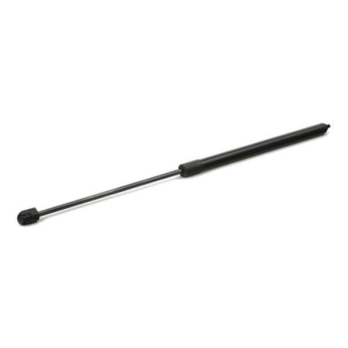 RIDEX Motorhaubendämpfer passend für MERCEDES-BENZ M-Klasse (W164) Bild RIDEX Motorhaubendämpfer passend für MERCEDES-BENZ M-Klasse (W164)
