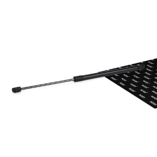 RIDEX 219G0024 Heckklappendämpfer beidseitig Länge:500mm 530N Hub: 200mm Bild RIDEX 219G0024 Heckklappendämpfer beidseitig Länge:500mm 530N Hub: 200mm