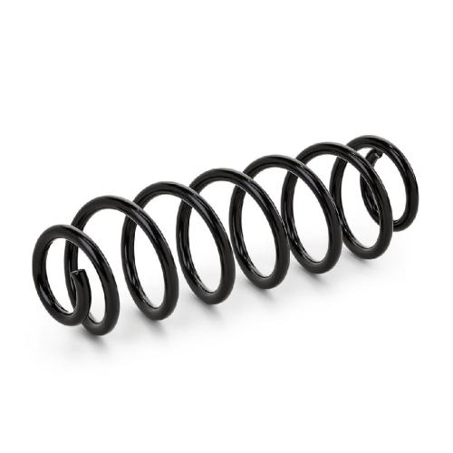 RIDEX 188C0016 2x Federn Fahrwerksfedern Hinten für VW Golf 1V Schrägheck Bild RIDEX 188C0016 2x Federn Fahrwerksfedern Hinten für VW Golf 1V Schrägheck
