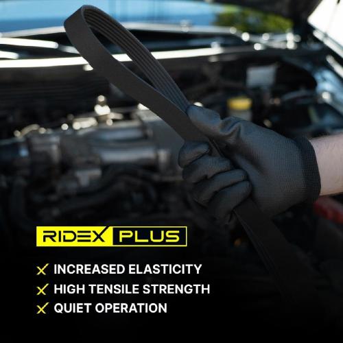 Keilrippenriemen RIDEX PLUS 7PK1605 für NISSAN Qashqai II (J11, J11) für RENAULT Bild Keilrippenriemen RIDEX PLUS 7PK1605 für NISSAN Qashqai II (J11, J11) für RENAULT