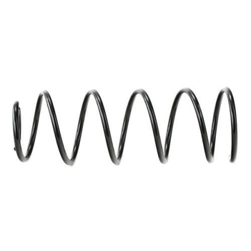 RIDEX 188C0594 2x Federn Fahrwerksfedern Vorne passend für PEUGEOT 406 (8B) Bild RIDEX 188C0594 2x Federn Fahrwerksfedern Vorne passend für PEUGEOT 406 (8B)