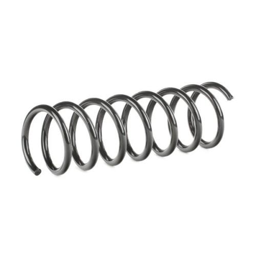 RIDEX 188C0331 2x Federn Fahrwerksfedern Hinten für FORD C-MAX (DM2) Bild RIDEX 188C0331 2x Federn Fahrwerksfedern Hinten für FORD C-MAX (DM2)
