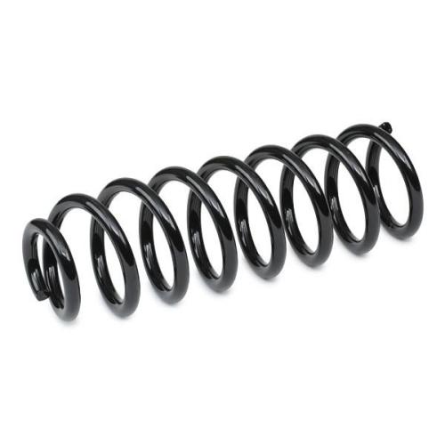 RIDEX 188C0233 2x Federn Fahrwerksfedern Hinten für RENAULT Scénic 1I Bild RIDEX 188C0233 2x Federn Fahrwerksfedern Hinten für RENAULT Scénic 1I