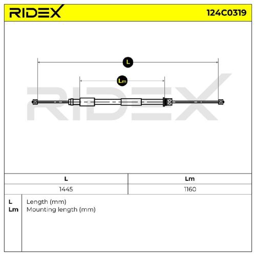 RIDEX Handbremsseil Hinten Rechts passend für PEUGEOT 309 II (3C, 3A) Bild RIDEX Handbremsseil Hinten Rechts passend für PEUGEOT 309 II (3C, 3A)