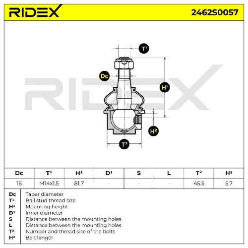 RIDEX 2462S0057 Traggelenk Führungsgelenk Vorne für RENAULT Master 1II Kasten Bild RIDEX 2462S0057 Traggelenk Führungsgelenk Vorne für RENAULT Master 1II Kasten