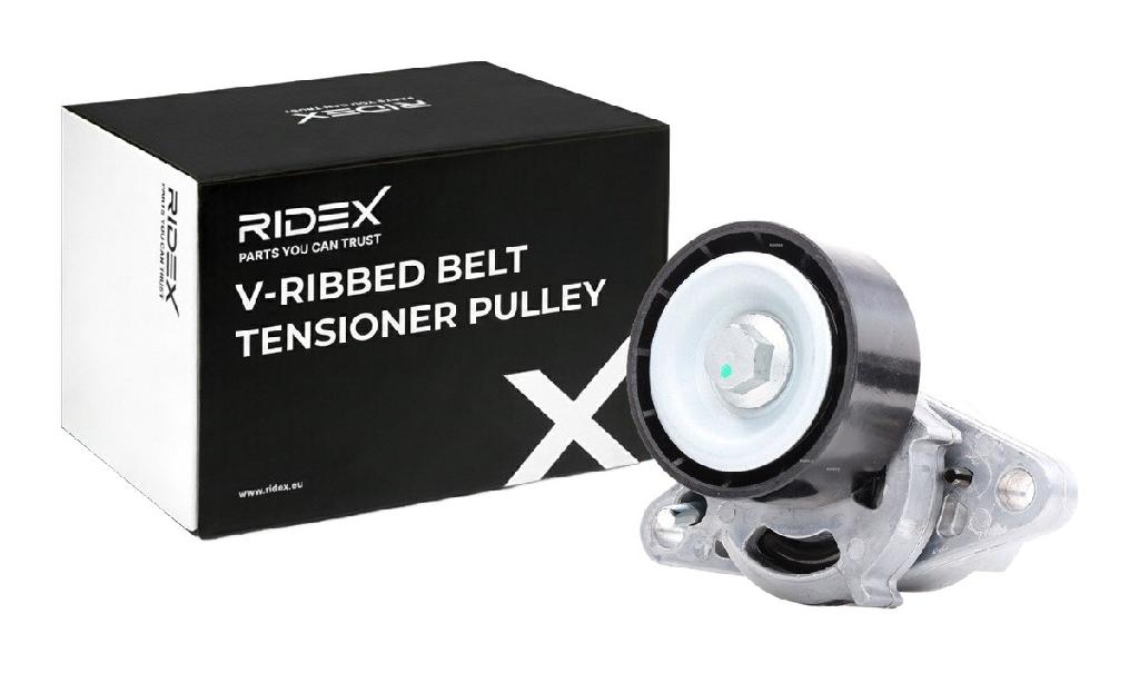RIDEX 310T0065 Spannrolle Keilrippenriemen für RENAULT Clio 1I 8200169191