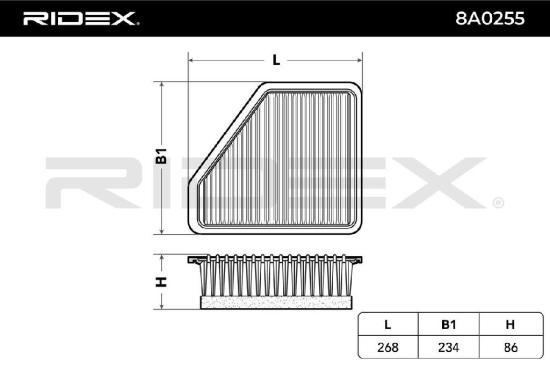 RIDEX 8A0255 Motor Luftfilter Filtereinsatz Umluftfilter mit Vorfilter Bild RIDEX 8A0255 Motor Luftfilter Filtereinsatz Umluftfilter mit Vorfilter