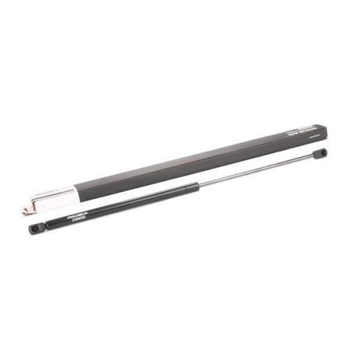 RIDEX 219G0352 Heckklappendämpfer beidseitig hinten Länge:602,5mm 240N Hub: Bild RIDEX 219G0352 Heckklappendämpfer beidseitig hinten Länge:602,5mm 240N Hub: