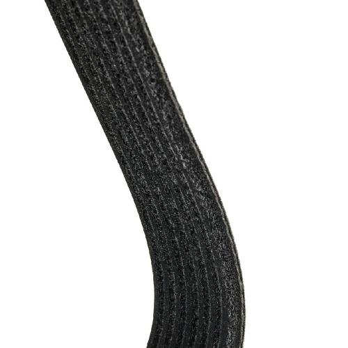 RIDEX PLUS Keilrippenriemen für NISSAN Qashqai / Qashqai +2 I (J10, NJ10) Bild RIDEX PLUS Keilrippenriemen für NISSAN Qashqai / Qashqai +2 I (J10, NJ10)