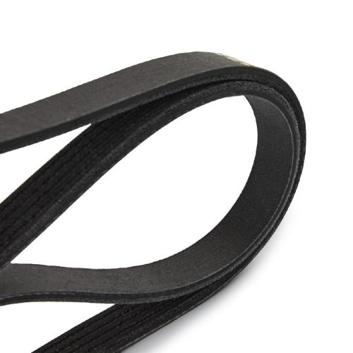 Keilrippenriemen RIDEX PLUS 5PK925 für VW Golf V Schrägheck (1K1) für MITSUBISHI Bild Keilrippenriemen RIDEX PLUS 5PK925 für VW Golf V Schrägheck (1K1) für MITSUBISHI
