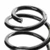 RIDEX 188C0976 2x Federn Fahrwerksfedern Hinten für TOYOTA Yaris Schrägheck Bild RIDEX 188C0976 2x Federn Fahrwerksfedern Hinten für TOYOTA Yaris Schrägheck