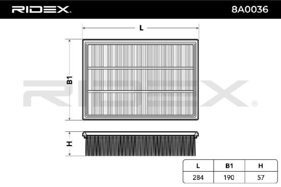 RIDEX 8A0036 Motor Luftfilter Filtereinsatz für FORD Focus II Schrägheck C-MAX Bild RIDEX 8A0036 Motor Luftfilter Filtereinsatz für FORD Focus II Schrägheck C-MAX