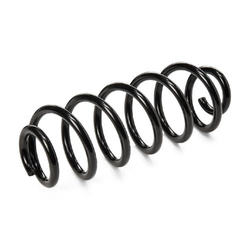 RIDEX 188C0343 2x Federn Fahrwerksfedern Hinten für VW Golf 5 Schrägheck Bild RIDEX 188C0343 2x Federn Fahrwerksfedern Hinten für VW Golf 5 Schrägheck