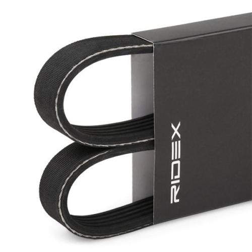 Keilrippenriemen RIDEX 5PK1125 für AUDI A6 Avant (4F5, C6) A6 Limousine A5 Coupe Bild Keilrippenriemen RIDEX 5PK1125 für AUDI A6 Avant (4F5, C6) A6 Limousine A5 Coupe